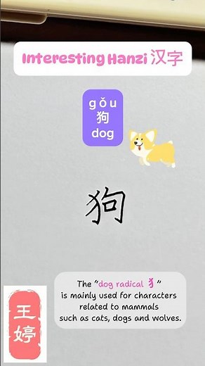 How to write „dog“ in Chinese? #hanzi #learnchinese #mandarin #汉字 #汉语 #hsk #chineseteacher
