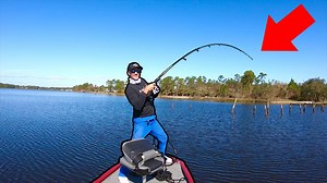 Hitting up one of my favorite fishing spots in Florida. So many species here! | AnglerUp with Brant