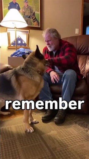 He Found His Son's Whistle — Watch What the K9 Did When He Blew It 💔🐾
