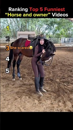 Funniest Horse Videos😂😆 #funny #horse #fyp