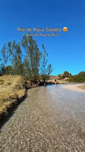 PUERTO RICO 🇵🇷 on Instagram: "Lugares Maravillosos De La Isla Del Encanto 🇵🇷 Arecibo, Puerto Rico 🎥: @aalmodovar_alexis #PuertoRico #PR #Arecibo Nature"