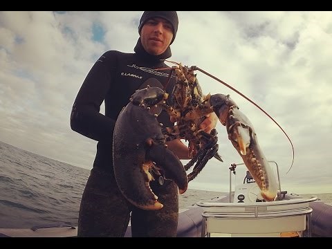 Capture d'un Gros Homard en chasse sous marine - Big Lobster