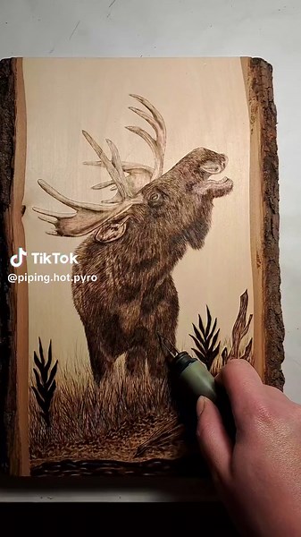 Just finished this moose up today! It's on a beautiful large baswood slab. It's quickly become my favourite so far out of my projects in 2024. I may have found my favourite subject to work on... 😍🫎🔥 #fyp #art #artist #artwork #artoftheday #pyrography #pyrographyartist #pyrographyartwork #wood #wooddesign #woodburning #woodburningart #woodburningartist #woodburningbyhand #artfestival