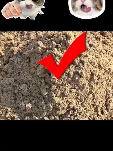 Looking COCOMELON Slime In The Sand #lookingslime #asmr #satisfying #cocomelon #foryou #slimeasmr