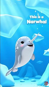 Narwhal for Kids 🐋 | Learn Ocean Animals | Arctic Animal Video for Preschool