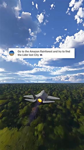 Exploring the Amazon Rainforest in a Flight Simulator