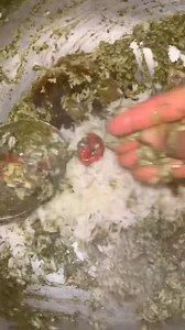 Good food 🍲 | Sierra Leone Recipes