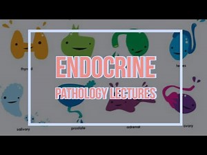 ENDOCRINE PATHOLOGY lecture 1 PITUITARY gland introdyctions and PITUITARY ADENOMA classification
