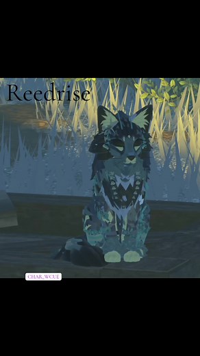 #warriorcats #wcueroblox #wcue #oc #newcreator