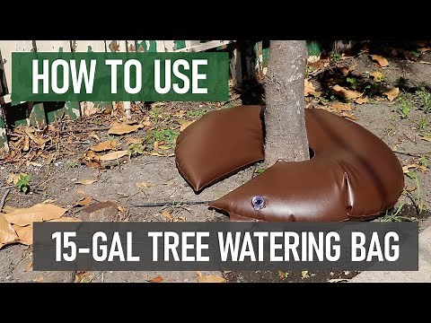 How to Use Solutions 15-Gallon Tree Watering Bags [Low Maintenance Tree Watering Solutions]