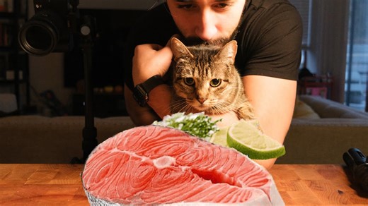 Cooking for My Cat? Here’s the Truth From My Kitchen
