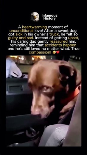 OWNER COMFORTS DOGGO AFTER HE GOT SICK
