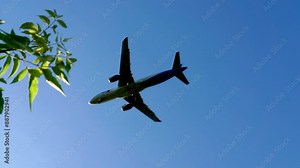 A commercial airplane flies overhead against a vibrant blue sky, with tree leaves framing the scene