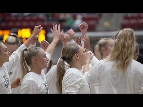 Montana Lady Griz turn to new chapter as Nate Harris era begins