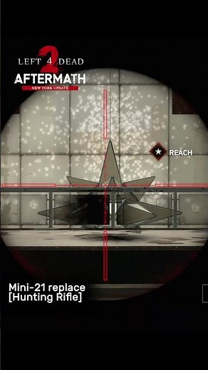 LEFT 4 DEAD 2: AFTERMATH - HUNTING RIFLE SKIN