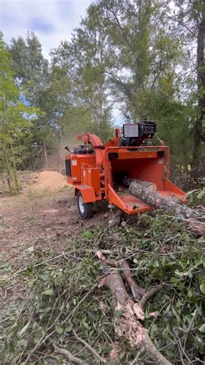 Wood chipper eating trees 🌳#shorts