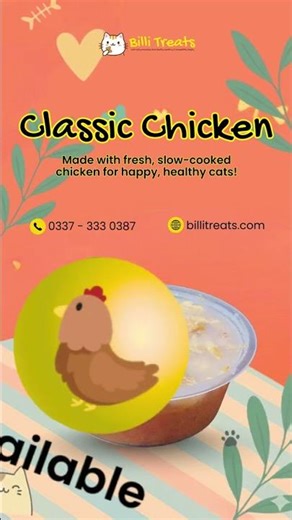 Best Wet Cat Food Guide | Is Homemade Chicken Safe for Cats?
