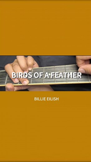 Birds of a Feather Guitar Tutorial - Billie Eilish