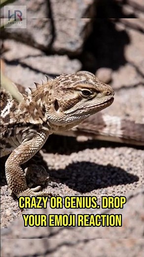 The Lizard That Shoots BLOOD From Its Eyes! 😱 | Nature’s Wildest Defense