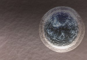 Egg Freezing Technologies and Techniques: Practical Considerations for Clinicians
