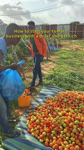 Drying equipment on TikTok