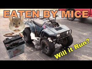 Kawasaki ATV Eaten by Mice - No Spark, No Crank - Will it Run Again? - Part 1