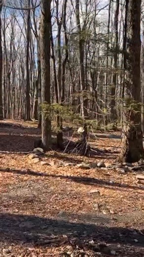 From raw land to RV park to…glamping?! How glamping has changed the economic landscape of outdoor hospitality: Lower cost of setup - dome tents are significantly cheaper to setup, maintain, and operate in all climates. Higher nightly value - unique stays are priced not only by natures offer, but the lodging offer. Customer entry - while not everyone likes the idea of glamping, there’s no real product or thing you need before coming to @campferncrest and that’s what makes it more lucrative: large