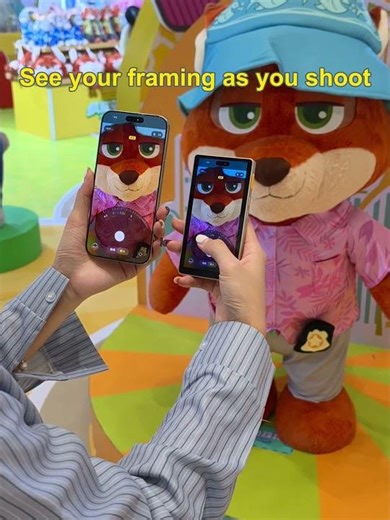 A real solution for solo shooting