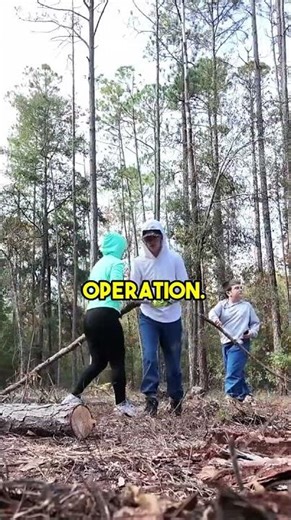 Watch Us Tackle a Big Logging Job!