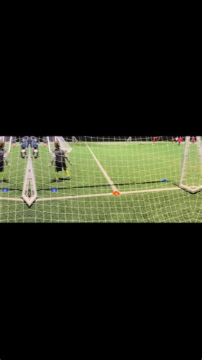 Top Bins Goalkeeper Training Tips