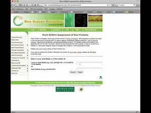 Rice Genome Annotation Project Website: Search Tools Tutorial