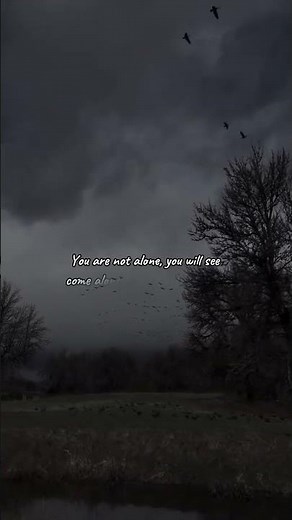 Sleep well (from poppy playtime chapter 3) - Song by CG5 - esthetic video - lyrics edit