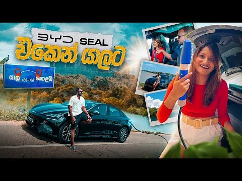 BYD Seal | Driving Experience | කොණ්ඩෙත් iron කරගත්තා | Trip to Yala | Sri Lanka