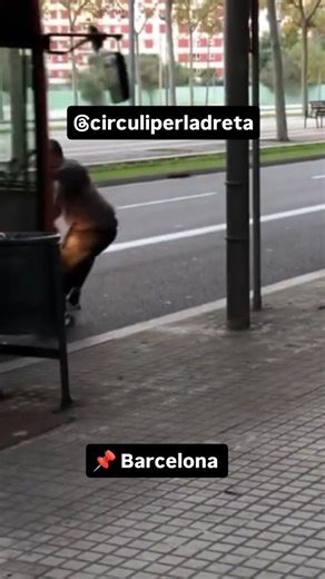 circuliperladreta on Instagram: "Barcelona, dues escenes que fan posar les mans al cap. 📍 Primer vídeo: un noi amb monopati que salta de la vorera a la calçada sense mirar, i queda a centímetres d’un autobús que gairebé se l’emporta per davant. Tot per un instant de “glòria” que podria haver acabat molt malament. 📍 Segon vídeo: un motorista avançant en línia contínua, tot i veure clarament que un altre motorista ve de cara."