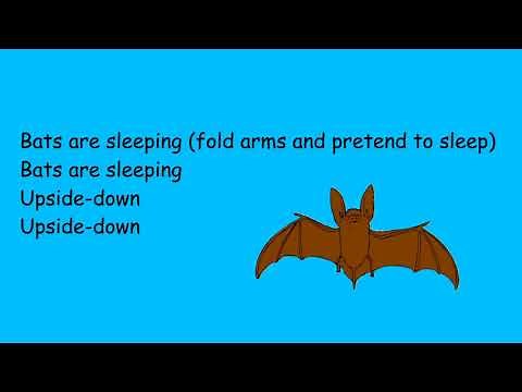 ♫ Bats are Sleeping ♫ Children's Action Song