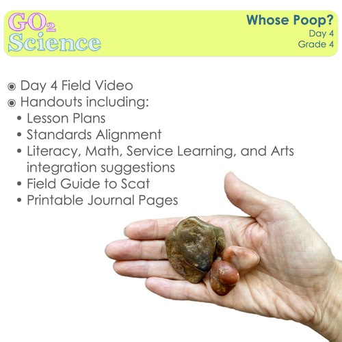 Mission Dinosaur Day 4 (Grade 4)