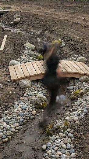 Backyard Creek Transformation with a Wooden Bridge