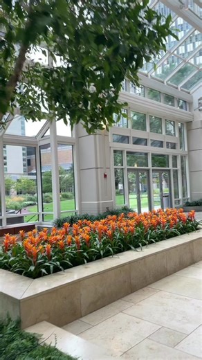 MIT Summer Program: Exploring Computer Science and Engineering