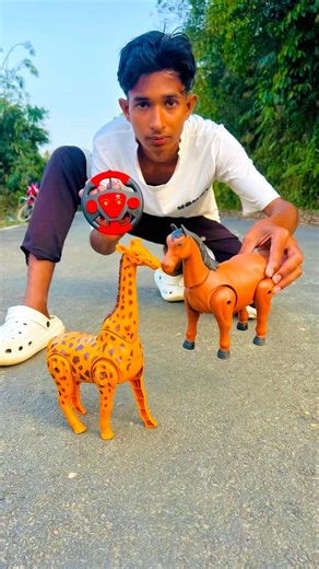 Remote Control Duita House And Giraffes ￼ki Unboxing 👍