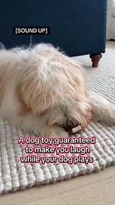 💩🐾 Endless giggles for everyone—yes, even the pups! This talking poop toy turns playtime into a hilarious, laugh-out-loud experience for kids, adults, and furry friends alike. 🎉🤣 Perfect for family fun, pranks, and silly moments that never get old! | Owen X