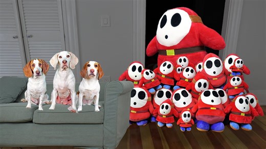 Brave puppies confront army of Shy Guy prank characters