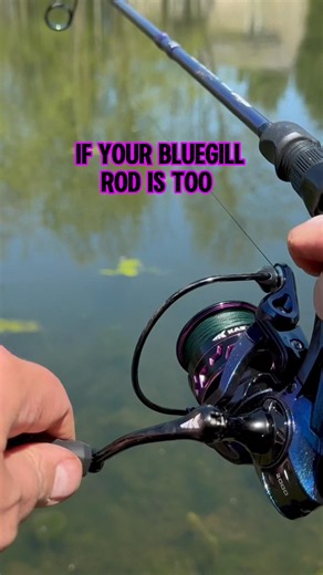 BEST Fishing Rod For BLUEGILL! 🎣🐟💯 #fishing #shorts #kastking