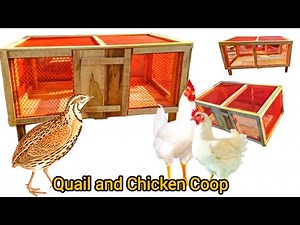 🐓 Quail and Chicken Coop: DIY Build from Start to Finish