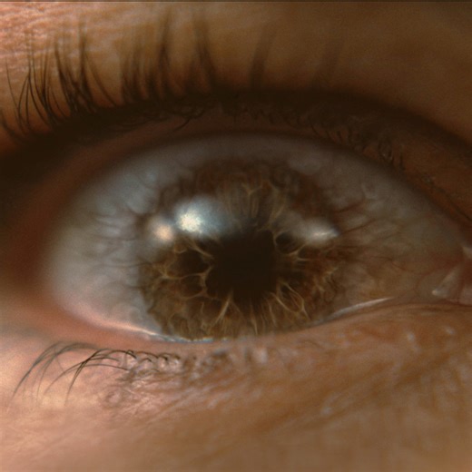 Bird Box Barcelona. 14 July, only on Netflix. | Netflix