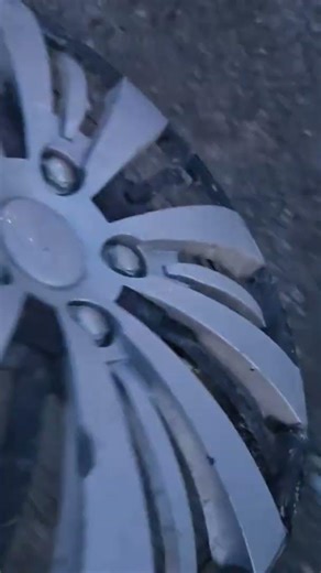 Roadside find spring 2026 generic 17 inch wheel cover!