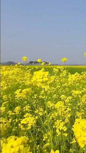 Agroecological Transition and Biodiversity! #agriculture #farming