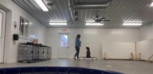 🐾 Training Reinforcement Add-On! 🐾 Did you know we offer a Training Reinforcement Add-On for both our Day Campers and Overnight Lodgers? For just $10, one of our trainers will spend 10–15 minutes working one-on-one with your pup while they’re here — reinforcing the good behaviors you want to see more of! Whether you’re hoping to brush up on sit, down, stay, no jumping, loose leash walking, drop it, or any other manners, this is a great way to keep your dog’s training consistent and make the mo