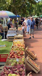Otvaranje Berbanskih dana | SUBOTICA.com
