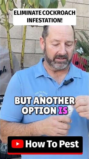Eliminate a Cockroach Infestation - How To Use Avert DF #AvertDF #pestcontrol #pestcontroltips #diy