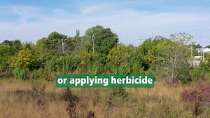 12K views · 358 reactions | Springbrook Prairie Forest Preserve is undergoing habitat restoration. Listed as both an Illinois Nature Preserve and a Land and Water Reserve, it serves as an important refuge for grassland birds and other wildlife. The District will be removing invasive trees and brush to make way for restored prairie and wetland habitats. Watch to learn more! | Forest Preserve District of DuPage County | Facebook